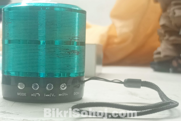 Wireless & Bluetooth Speaker